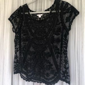 Elegant Lace shirt✨